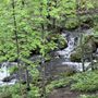 Photo of Osceola-Chisago Loop Trailhead