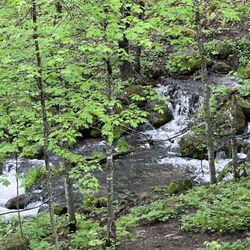 Osceola-Chisago Loop Trailhead