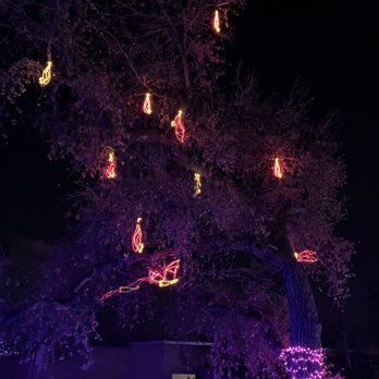 Denver Zoo Lights - Bats! - Festivals Near Me - Denver, Colorado