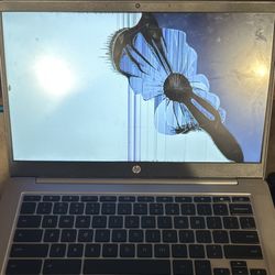 Cyberdragon Computer Repair - A broken laptop screen.