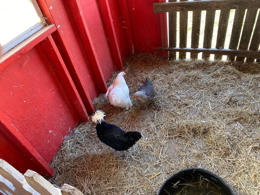 HEAVEN HILL FARM 199 Photos & 64 Reviews Nurseries & Gardening