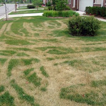 Expert Lawns - Landscaping Near Me Expert Lawns - Landscaping Near Me