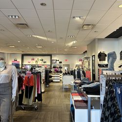 Lane Bryant