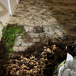Tommy’s Family Lawn Care - I asked him twice to throw away this weed that he took out but instead he left it in the walkway
