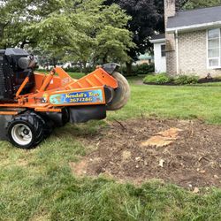 Kendall's Tree Service - Stump grinding by remote control simple the best, the fastest, and the way to go by far.