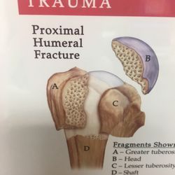 Regional Orthopaedic & Sports Center