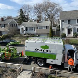 Save-A-Tree - Size of truck that they bring in - Tree Services Near Me - Needham, Massachusetts