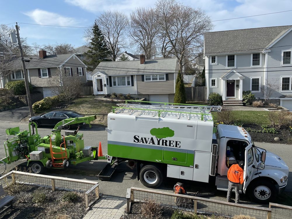Save-A-Tree - Size of truck that they bring in - Tree Services Near Me - Needham, Massachusetts Save-A-Tree - Size of truck that they bring in - Tree Services Near Me - Needham, Massachusetts