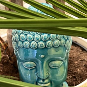 Om Bowls & Juice Bar - a buddha head in a pot - Acai Bowls Near Me - Brandon, Florida Om Bowls & Juice Bar - a buddha head in a pot - Acai Bowls Near Me - Brandon, Florida