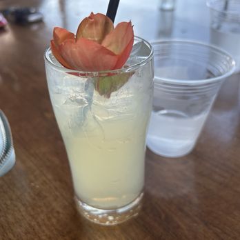 Crazy Daisies - Gin drink - Nurseries & Gardening Near Me - Syracuse, New York