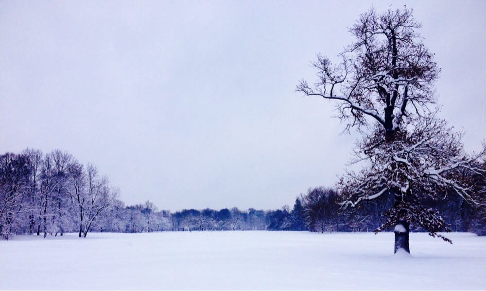 Englischer Garten Nord