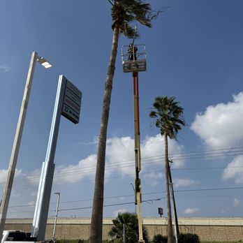 Fixed Income Landscaping - Landscaping Near Me - Corpus Christi, Texas Fixed Income Landscaping - Landscaping Near Me - Corpus Christi, Texas