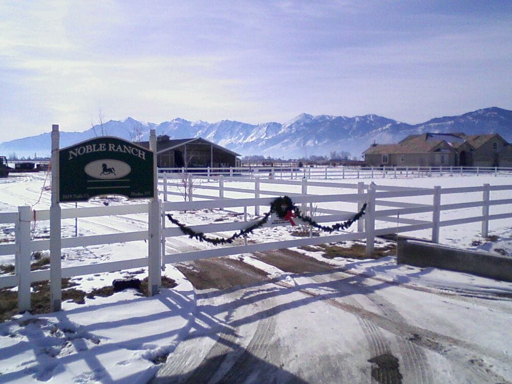 BLUE ROSE PERFORMANCE HORSES Updated March 2024 1019 Noble Ct