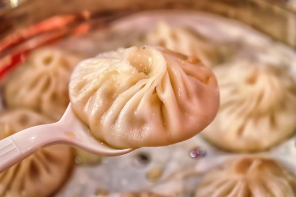 Meet Qin Noodle by null