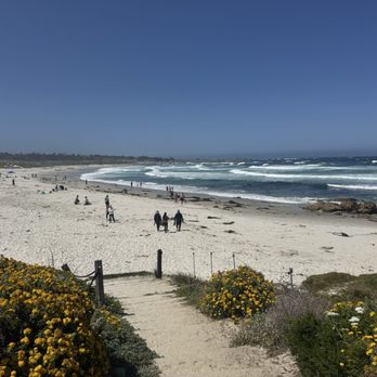 Asilomar State Beach - Beach - Parks Near Me - Pacific Grove, California Asilomar State Beach - Beach - Parks Near Me - Pacific Grove, California