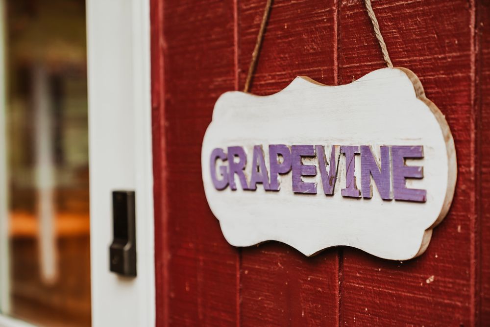 My Learning Treehouse Montessori - childcare center in Auburn, WA