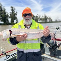 Golden State Sportfishing