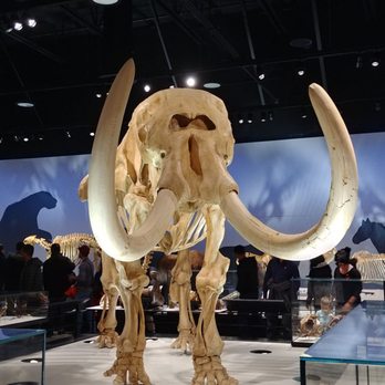 Royal Alberta Museum - Museums Near Me - Edmonton, Alberta