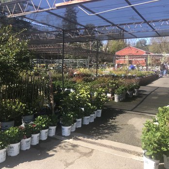 Orchard Nursery - Nurseries & Gardening Near Me - Lafayette, California