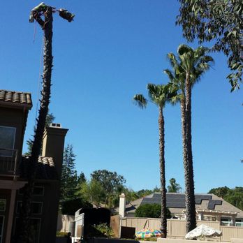 Pro Select Construction Services - General Contractors Near Me - Escondido, California Pro Select Construction Services - General Contractors Near Me - Escondido, California
