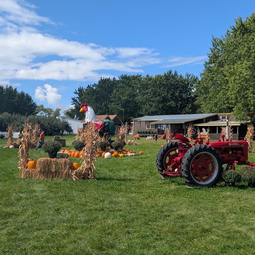 Fall Harvest Orchard - Pumpkin patch in the middle of the apples and attractions for kids - Tree Services Near Me - Montrose, Minnesota Fall Harvest Orchard - Pumpkin patch in the middle of the apples and attractions for kids - Tree Services Near Me - Montrose, Minnesota