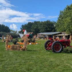 Fall Harvest Orchard - Pumpkin patch in the middle of the apples and attractions for kids