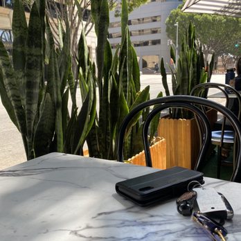 Republik Coffee - Snake plant view - Coffee & Tea Near Me - Pasadena, California Republik Coffee - Snake plant view - Coffee & Tea Near Me - Pasadena, California