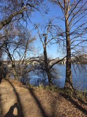 Lady Bird Lake by null
