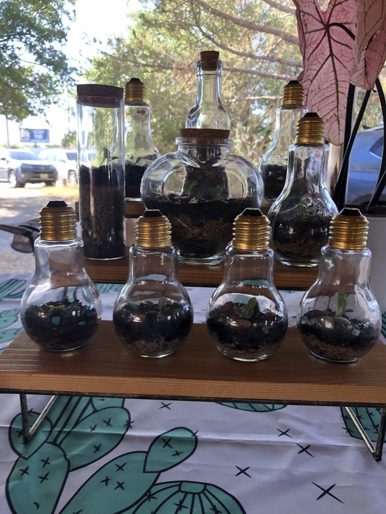 ACTON LOCAL MARKET Updated August 2024 12 Photos 5671 Acton Hwy