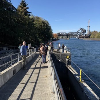 Ballard Locks Fish Ladder - Landmarks & Historical Buildings Near Me - Seattle, Washington