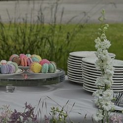 ANNA Cake Couture - Selection of Macarons