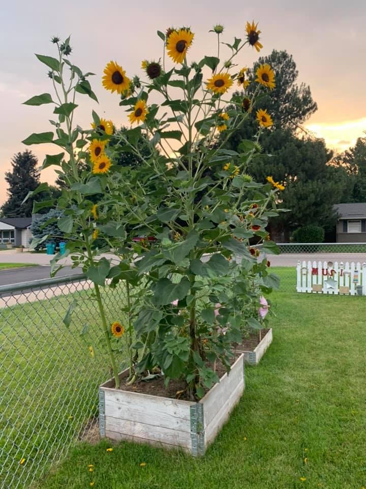 Morning Glory Preschool at Christ United Methodist Church - childcare center in Fort Collins, CO