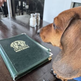 Louie Linguini's - Happy pup! - Seafood Near Me - Monterey, California