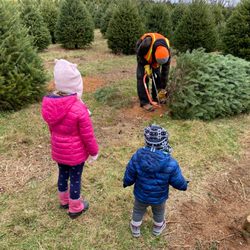 Evergreen Valley Christmas Tree Farm