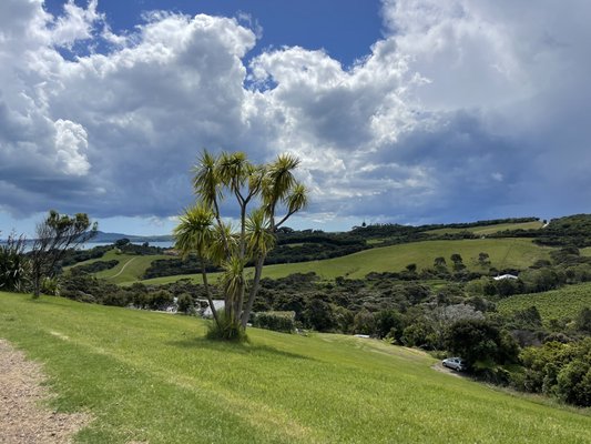 Waiheke Island by null