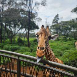 Kizi Travel Experiences
