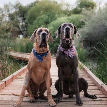 Hound & Cat - Pet Stores Near Me - Draper, Utah Hound & Cat - Pet Stores Near Me - Draper, Utah