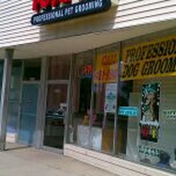 The Posh Pup - Pet Groomers Near Me - Livonia, Michigan