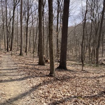 1. Boch Hollow State Nature Preserve