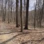 Photo of Boch Hollow State Nature Preserve