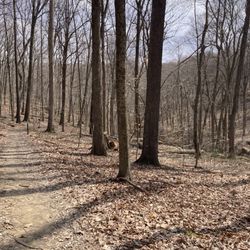Boch Hollow State Nature Preserve