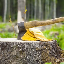 Adam's Tree Care