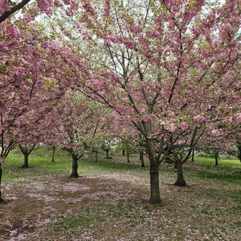 Branch Brook Park - Parks Near Me - Newark, New Jersey