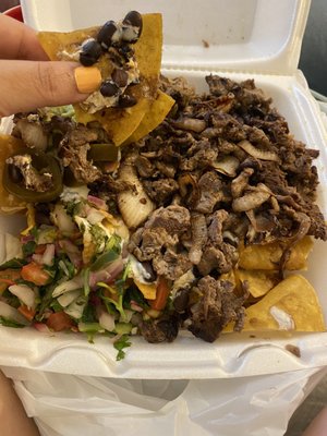 Taqueria Gloria by null