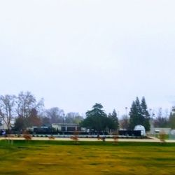 Tuli Mem Park