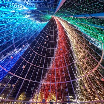 Mile High Tree - Tivoli Quad 2025 - Festivals Near Me - Denver, Colorado Mile High Tree - Tivoli Quad 2025 - Festivals Near Me - Denver, Colorado