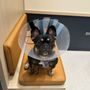Photo of Bond Vet - Florham Park