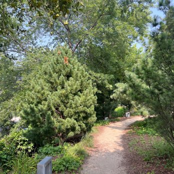 The 606 - Bloomingdale Trail - 7/25/23 FYI, very little shade - Parks Near Me - Chicago, Illinois