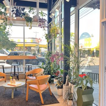 Pure Green - Juice Bars & Smoothies Near Me - Portland, Oregon Pure Green - Juice Bars & Smoothies Near Me - Portland, Oregon