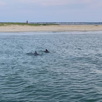 Fisherman's Wharf - Dolphins - Boat Charters Near Me - Lewes, Delaware Fisherman's Wharf - Dolphins - Boat Charters Near Me - Lewes, Delaware
